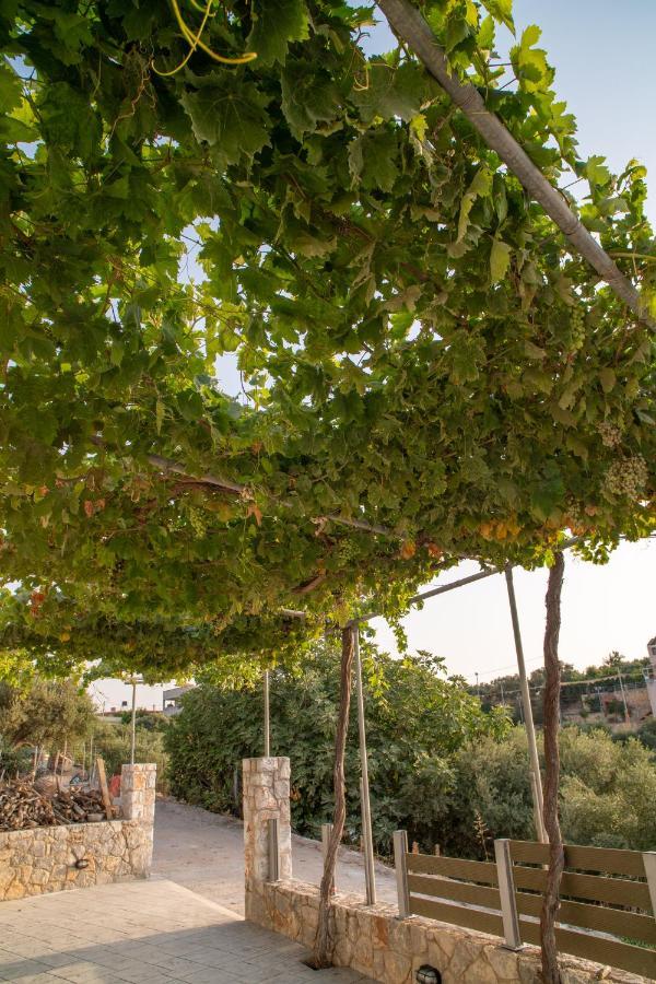 Hello Village Chania Sfakianalion Eksteriør bilde